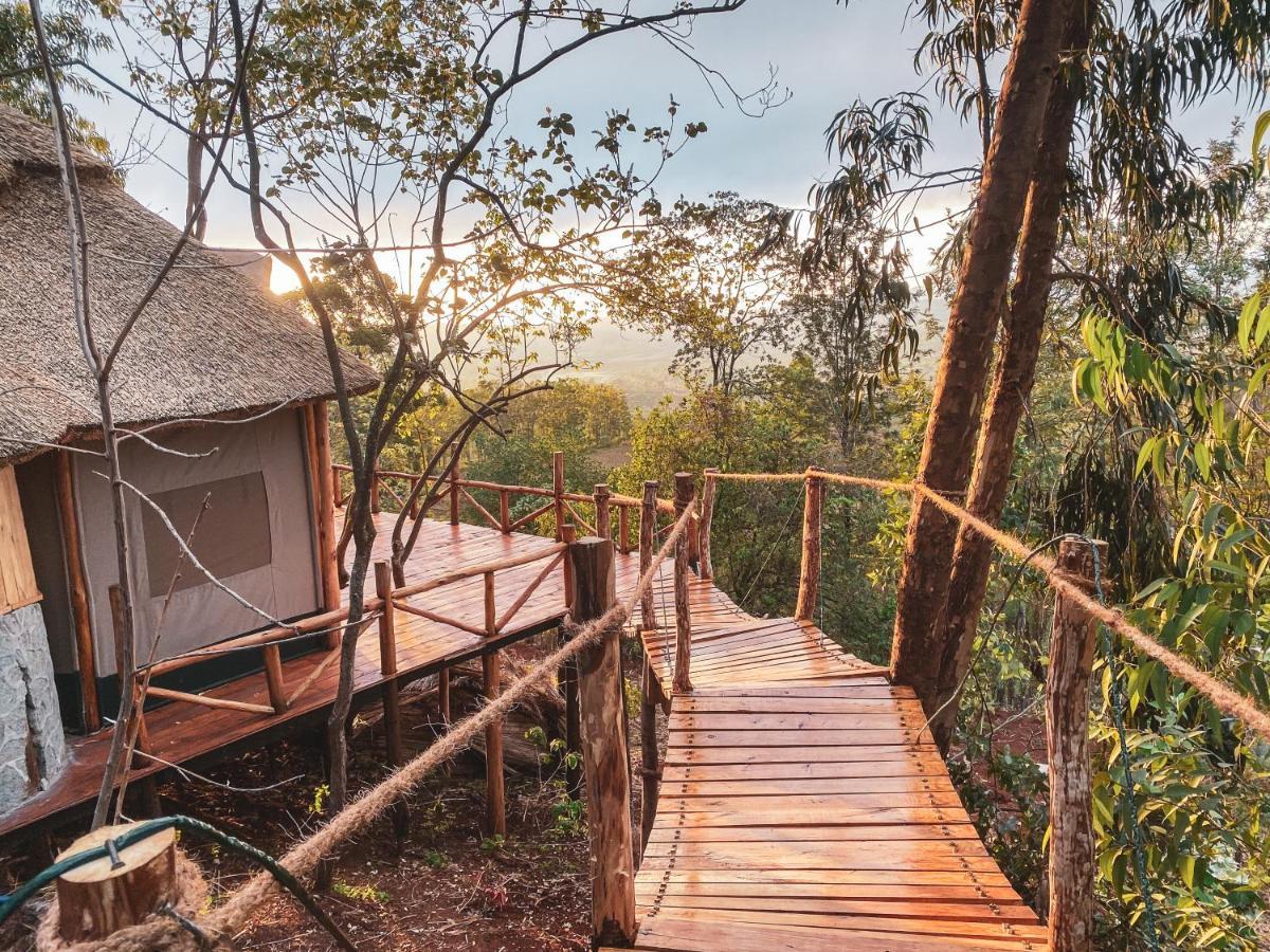 Foresight Eco Lodge & Safari 카라투 외부 사진